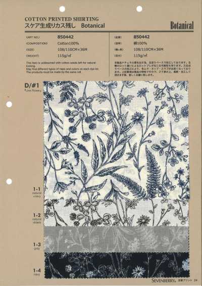 850442 SEVENBERRY® 스케어 생지 카스 남김 Botanical Line Flower