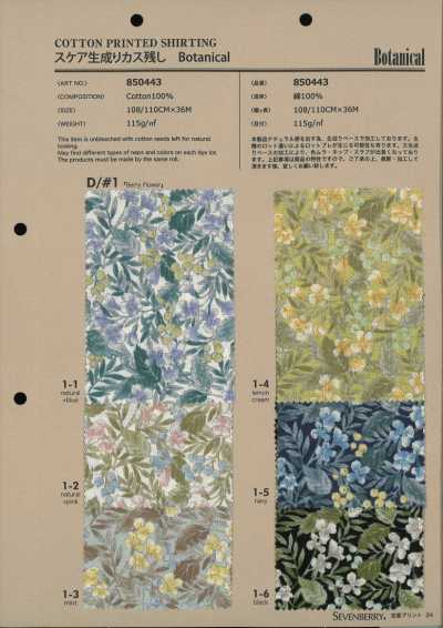 850443 SEVENBERRY® 스케어 생지 카스 남김 Botanical Berry Flower