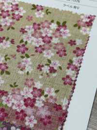 M24400-A 코튼 도비 프린트[원단] 모리키쿠(MORIKIKU) 서브 사진