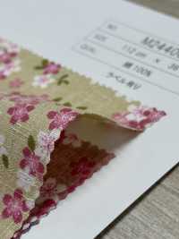 M24400-A 코튼 도비 프린트[원단] 모리키쿠(MORIKIKU) 서브 사진