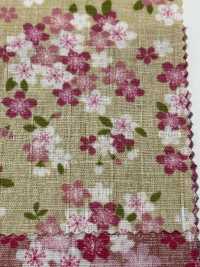 M24400-A 코튼 도비 프린트[원단] 모리키쿠(MORIKIKU) 서브 사진