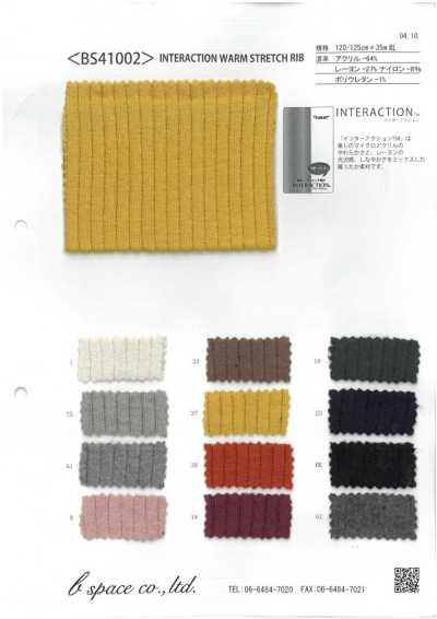 BS41002 INTERACTION 웜 스트레치 립