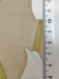 W8084 세븐베리® 옥스포드 와이드 위드 릴리[원단] VANCET 서브 사진