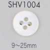 SHV1004 4구멍 쉘버튼