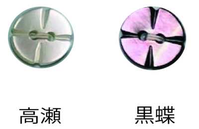 250 무테 2구멍 쉘버튼