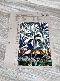 4232 브로드클로스 스타일리쉬 릴렉스 보타니컬[원단] VANCET 서브 사진