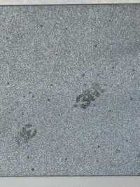 M-8912 M-8912 스카치라이트 원지 롤[원단] STAR BRAND(호시카) 서브 사진