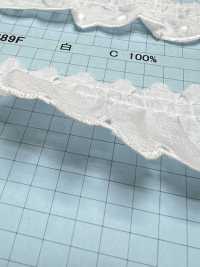 23389F 코튼 러플 레이스 Kyowa Lace 서브 사진