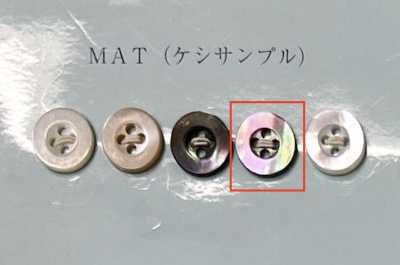 EX601MAT 4구멍 테두리 있음 차나비조개 단추 무광