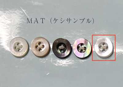 EX701MAT 4구멍 테두리 있음 백나비조개 단추 무광