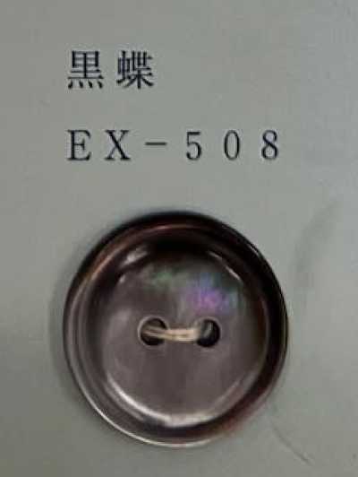 EX508 2구멍 테두리 있음 흑진주조개 쉘버튼