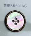SR600AG 4구멍 테두리 있음 갈색 나비조개 쉘버튼