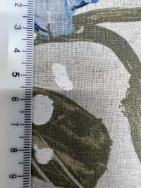7025-1700-3 CL 룸스테이트[원단] 홋코(HOKKOH) 서브 사진