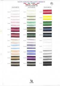1250-SAMPLE 1250 샘플 카드[샘플북] UNITED RIBBONS 서브 사진