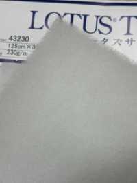 43230 로터스 테르모(43230)[심지] IWASAKI 서브 사진