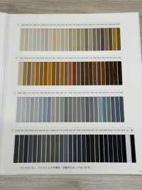 TWST-SAMPLE 군제 폴리나 샘플 카드[샘플북] GUNZE 서브 사진