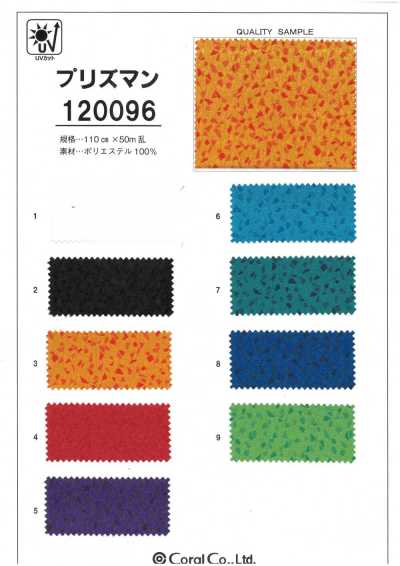 120096 프리즈만