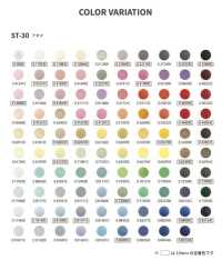 ST-30-B/C Santenac ST30 스프링/스터드 세트[도트 단추 / 아일렛] KAJI TECH 서브 사진