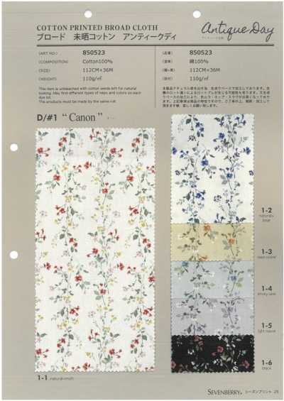 850523 SEVENBERRY® 브로드클로스 미표백 코튼 앤티크 디 카논