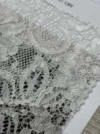 54331 두 개의 스캘럽 코드 라셸[원단] 파리카(PARICA) 서브 사진