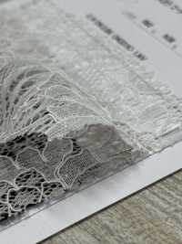 54331 두 개의 스캘럽 코드 라셸[원단] 파리카(PARICA) 서브 사진