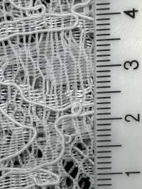 54331 두 개의 스캘럽 코드 라셸[원단] 파리카(PARICA) 서브 사진