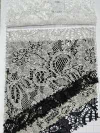 54331 두 개의 스캘럽 코드 라셸[원단] 파리카(PARICA) 서브 사진