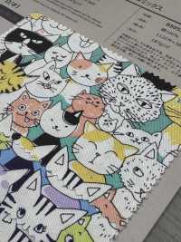 850536 세븐베리® 옥스포드 무표백 코튼 냥 코믹스[원단] VANCET 서브 사진