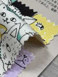 850536 세븐베리® 옥스포드 무표백 코튼 냥 코믹스[원단] VANCET 서브 사진