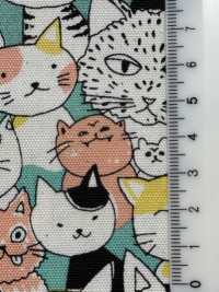 850536 세븐베리® 옥스포드 무표백 코튼 냥 코믹스[원단] VANCET 서브 사진