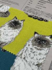 850537 세븐베리® 미표백 옥스포드 코튼 히말라얀[원단] VANCET 서브 사진