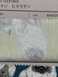 850537 세븐베리® 미표백 옥스포드 코튼 히말라얀[원단] VANCET 서브 사진