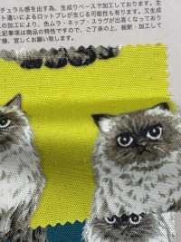 850537 세븐베리® 미표백 옥스포드 코튼 히말라얀[원단] VANCET 서브 사진