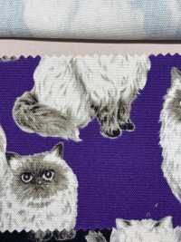 850537 세븐베리® 미표백 옥스포드 코튼 히말라얀[원단] VANCET 서브 사진