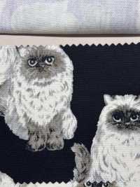 850537 세븐베리® 미표백 옥스포드 코튼 히말라얀[원단] VANCET 서브 사진