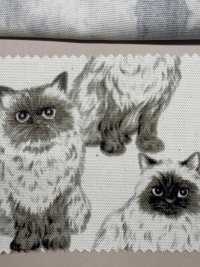 850537 세븐베리® 미표백 옥스포드 코튼 히말라얀[원단] VANCET 서브 사진