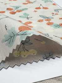 1026-625-1 60 잔디밭 실제[원단] 홋코(HOKKOH) 서브 사진