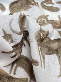 1026-625-2 60 잔디 고양이[원단] 홋코(HOKKOH) 서브 사진