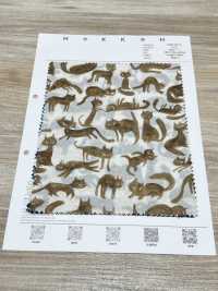 1026-625-2 60 잔디 고양이[원단] 홋코(HOKKOH) 서브 사진