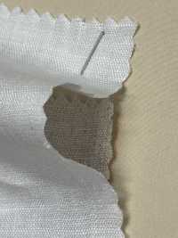 A-7013 1/80 리넨[원단] ARINOBE CO., LTD. 서브 사진