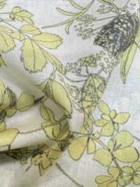 3026-650-6 60 잔디밭[원단] 홋코(HOKKOH) 서브 사진