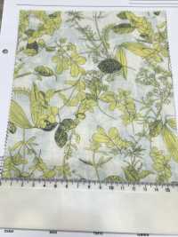 3026-650-6 60 잔디밭[원단] 홋코(HOKKOH) 서브 사진