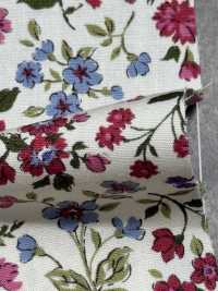 KTS2568 브로드클로스 플로럴 프린트[원단] 코튼 코바야시 서브 사진