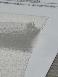 41692 매력적인 쉬어 레이스[원단] SUNWELL 서브 사진