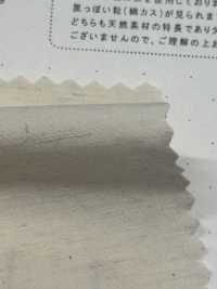 STL-9213 리넨 타자기 천[원단] 쿠와무라 섬유(KUWAMURA) 서브 사진