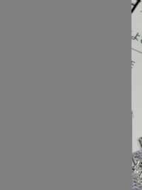 IZAYOI 이자요이[원단] 신코(SHINKO Co., Ltd.) 서브 사진