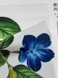 KDP1401-58-D-783 여성스러운 와이드 폭 데친[원단] 우니 섬유(UNI TEXTILE) 서브 사진