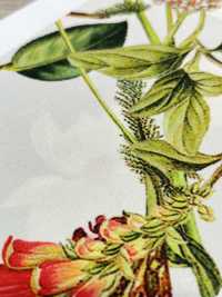 KDP7711-58-DD899 라이트 그로스그레인 와이드 폭 잉크젯 프린트[원단] 우니 섬유(UNI TEXTILE) 서브 사진