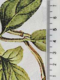 KDP7711-58-DD899 라이트 그로스그레인 와이드 폭 잉크젯 프린트[원단] 우니 섬유(UNI TEXTILE) 서브 사진