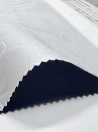 KKC422-55-D5 면 40/1 파나마 자카드[원단] 우니 섬유(UNI TEXTILE) 서브 사진